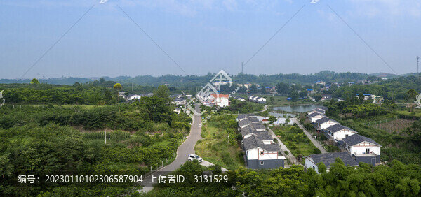 新農村