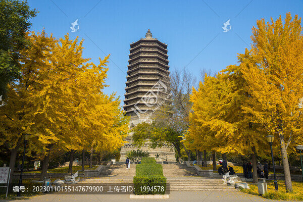 古塔秋天