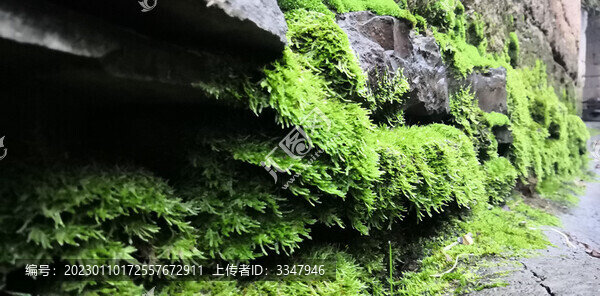 湘西鳳凰苗寨