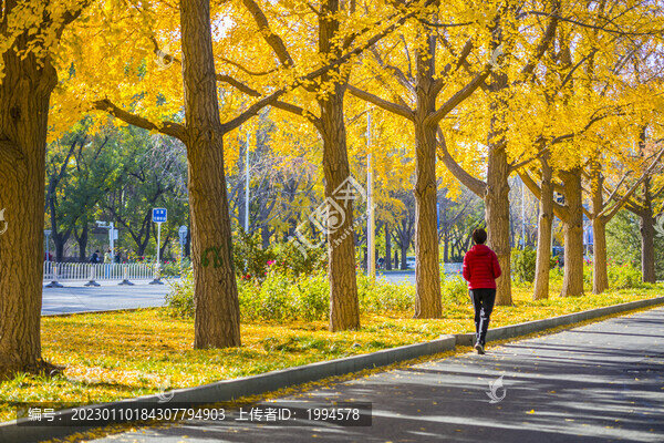 秋景