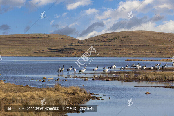 昭通大山包大海子濕地自然風(fēng)景