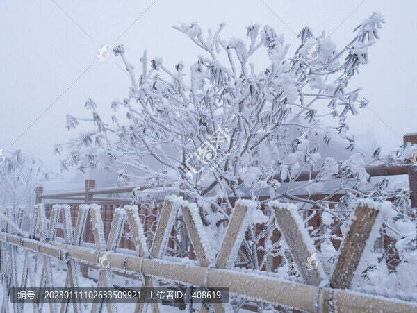 籬笆雪景