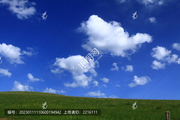 甘肅張掖山丹軍馬場