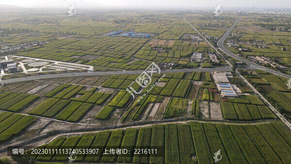 甘肅武威石羊河流域農(nóng)田風光