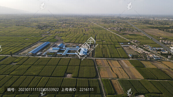 甘肅武威石羊河流域農(nóng)田風(fēng)光