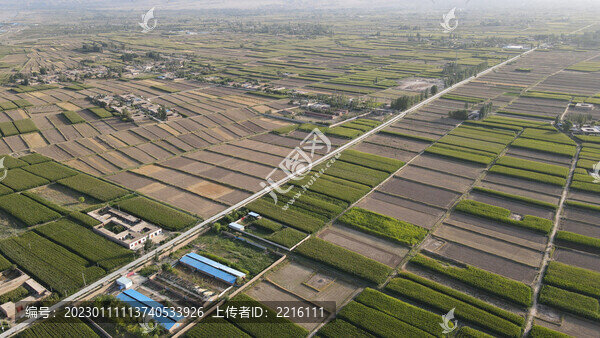 甘肅武威石羊河流域農(nóng)田風(fēng)光