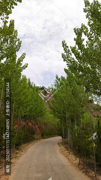 西部陜北西北大山山里林蔭小道