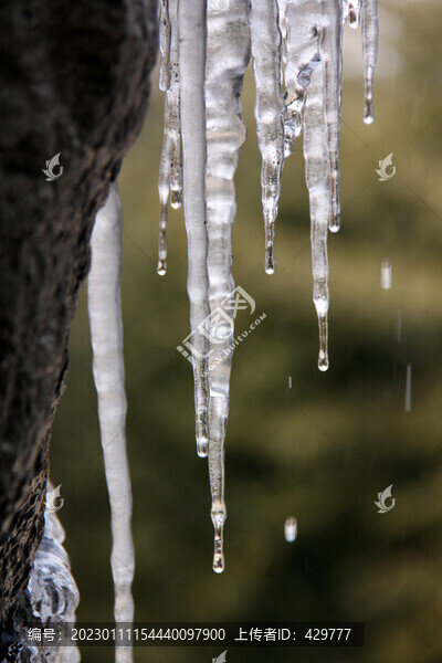 冰流子-匯圖網(wǎng) www.fosd68.com 冰流子