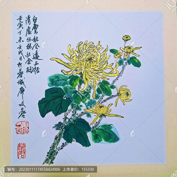 國畫菊花黃金菊
