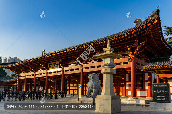興慶宮公園
