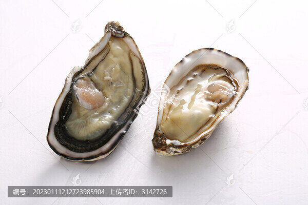 生蠔