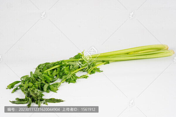不新鮮的芹菜