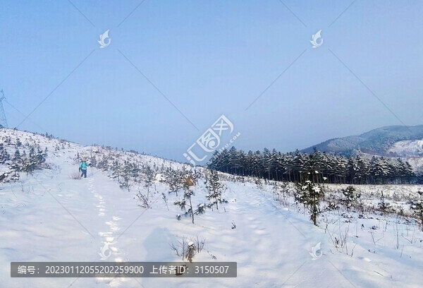 雪域影蹤
