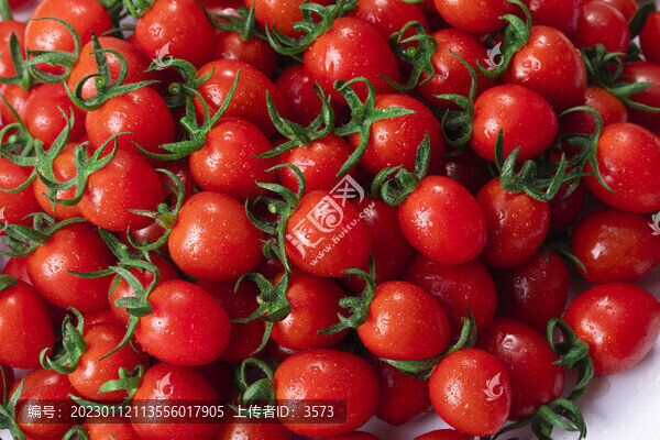 小西紅柿