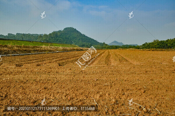 藍(lán)天綠樹大片等待播種的黃土地