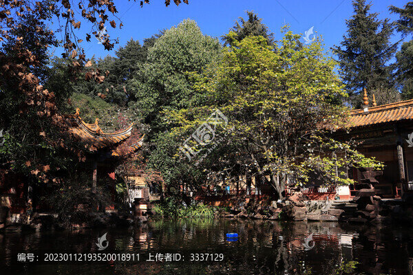公園水池