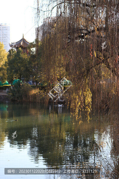 公園亭子柳樹