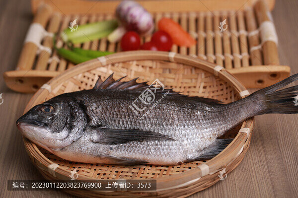黑魚