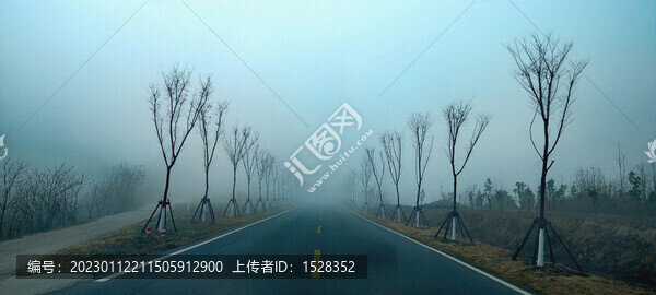 晨霧中的鄉(xiāng)村路