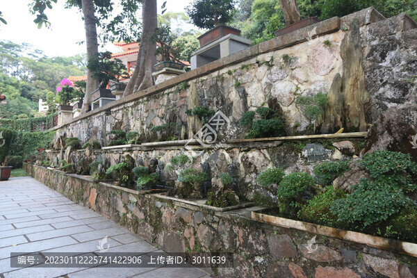 盆栽植物墻