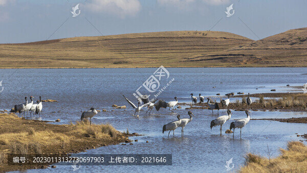 云南昭通大山包自然風(fēng)景