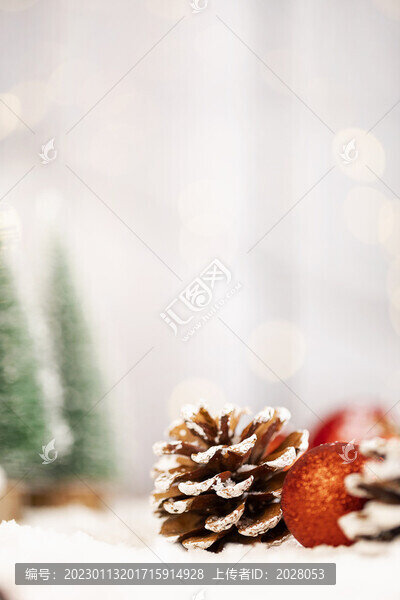 雪地上的圣誕松果