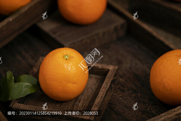 橙子水果暗調風格海報