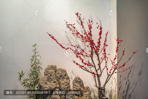 假山梅花景觀