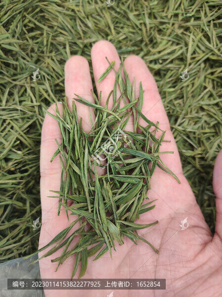 茶葉