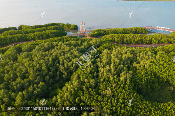高空俯瞰萬畝紅樹林