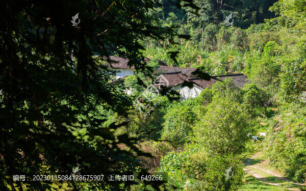 山村小路