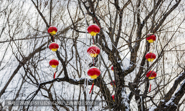 春節(jié)雪景