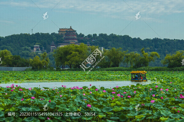 北京頤和園夏日風(fēng)光