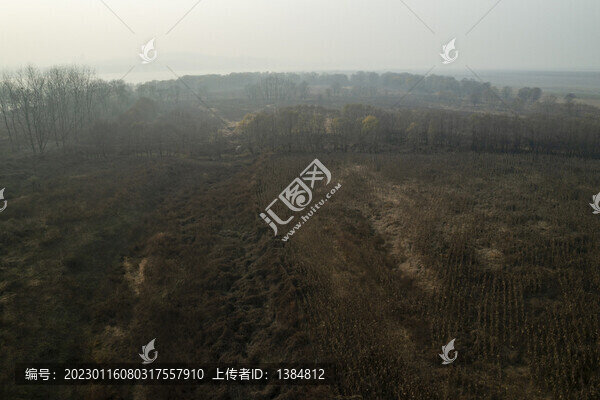 長江關州島