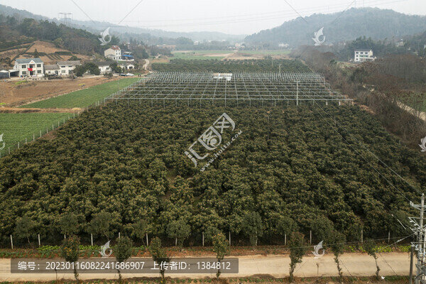枇杷園航拍