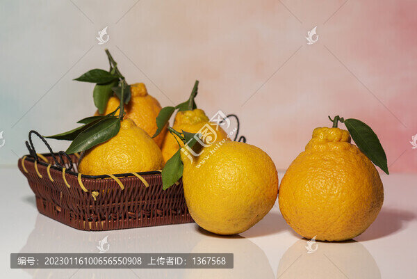 丑柑丑橘