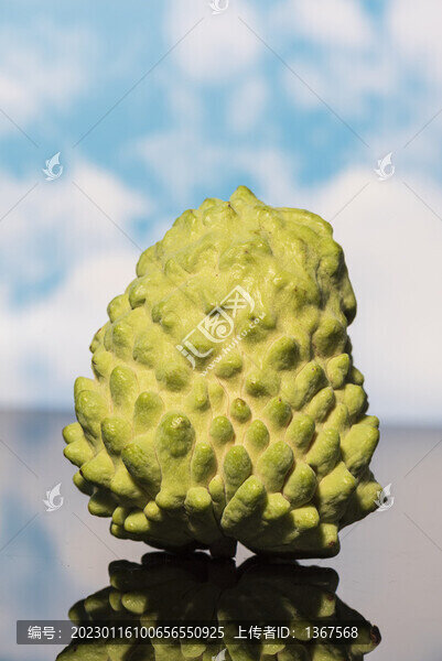 釋迦果