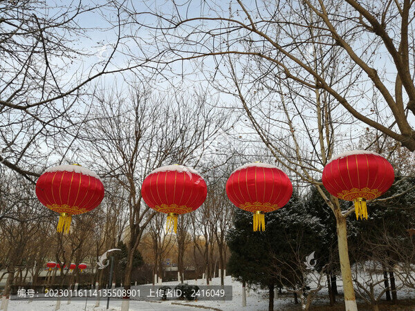雪后大紅燈籠