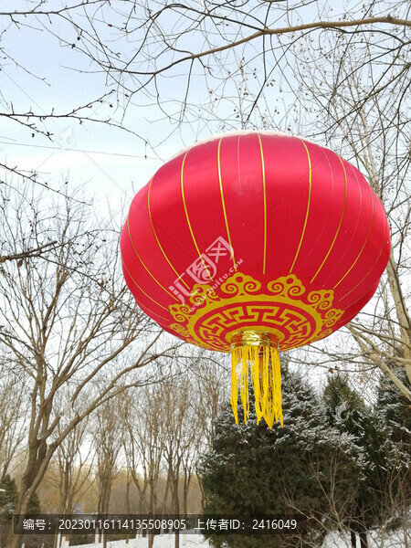 雪后大紅燈籠
