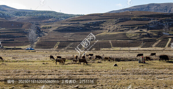 大山包黑頸鶴自然保護(hù)區(qū)