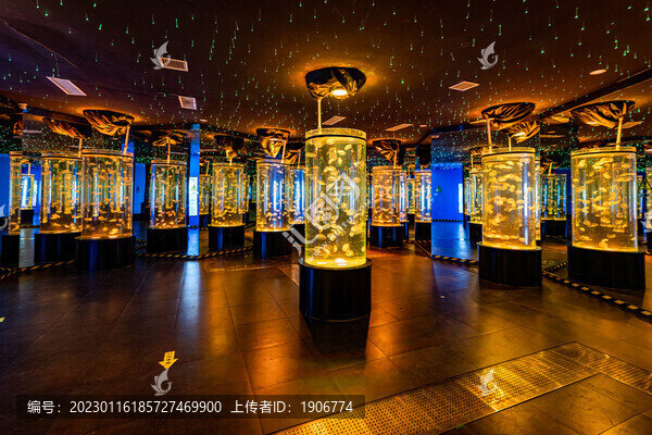 夢幻水母館