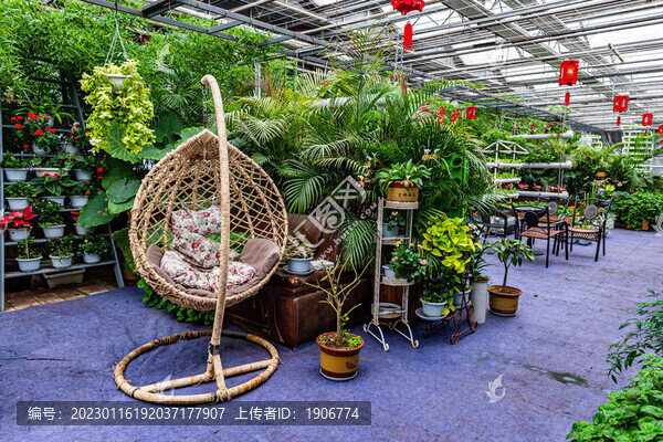 長春農(nóng)博會高新無土栽培區(qū)場景