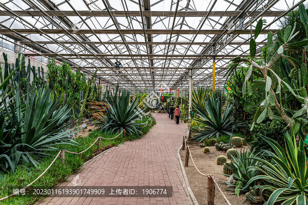 長(zhǎng)春農(nóng)博會(huì)熱帶果樹(shù)園展區(qū)場(chǎng)景