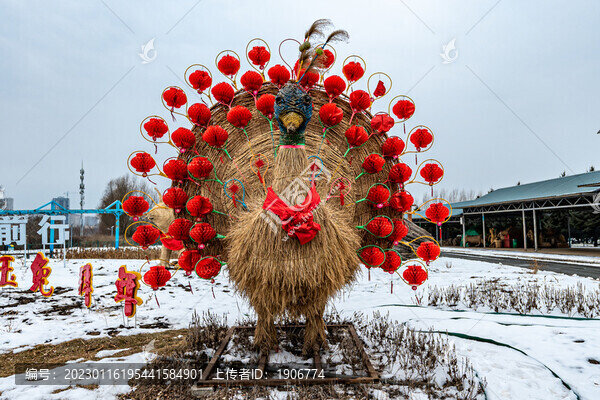 稻草動(dòng)物孔雀