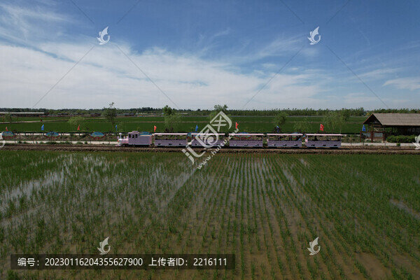 賀蘭山下富饒的寧夏平原稻田