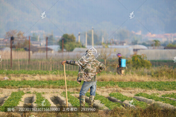 勞作休息