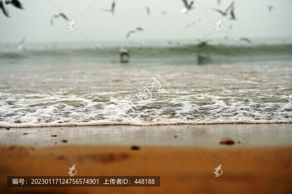 沙灘海浪