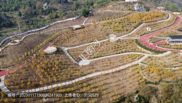 航拍重慶臘梅觀光園
