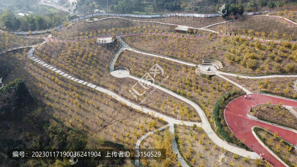航拍重慶臘梅觀光園