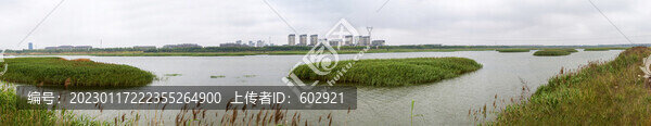大沽河
